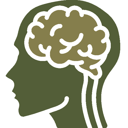 CBD Brain and Nervous System