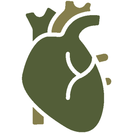 CBD Circulatory System
